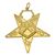 O.E.S.. Officer Jewels Gold Plate - Set of 18