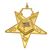 O.E.S.. Officer Jewels Gold Plate - Set of 18