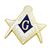 Masonic Lapel pin