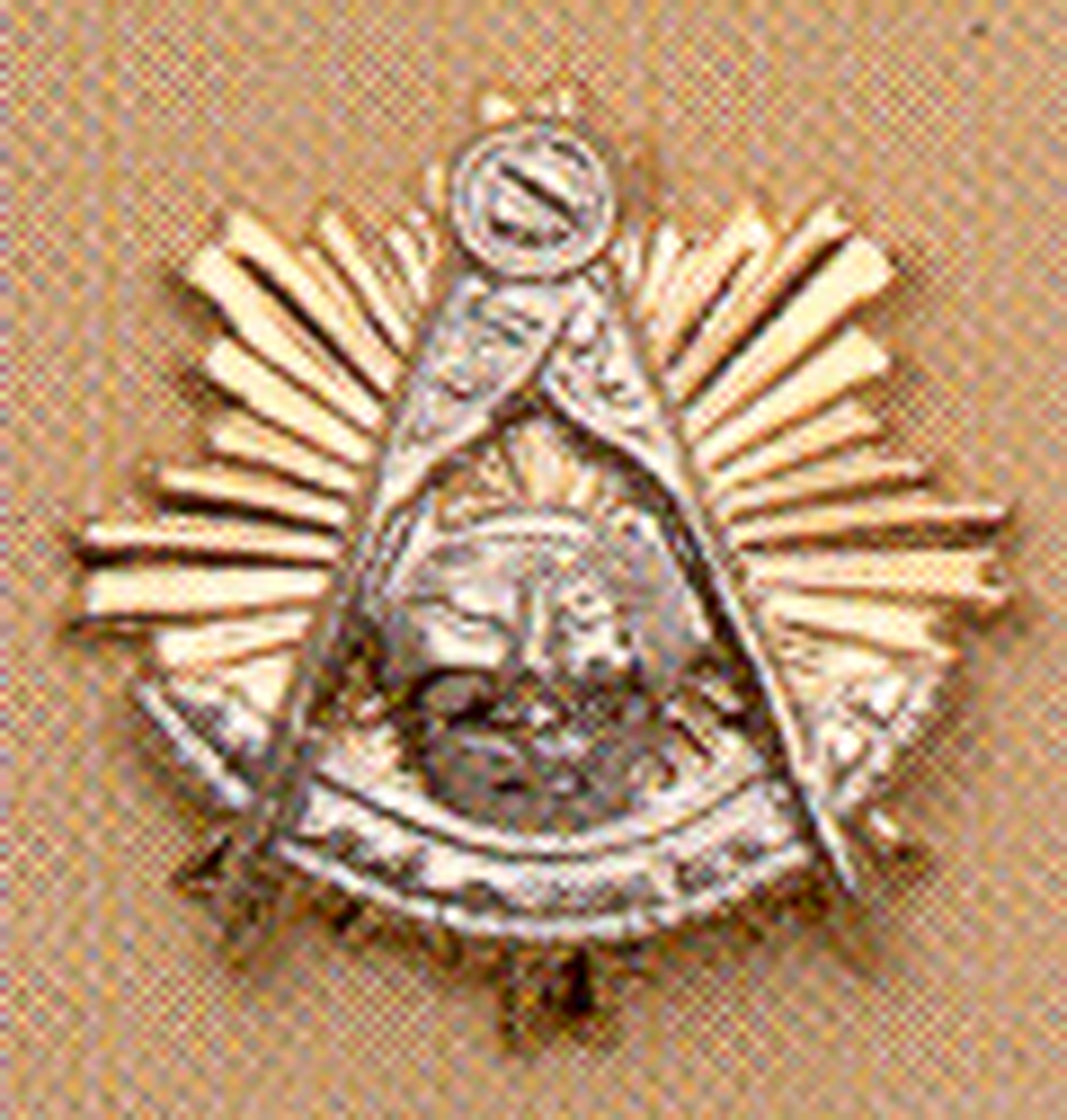 Past Master Lapel Button in 14K YG & WG