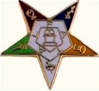  Large OES Star Member Pin GP