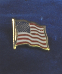 Pin, US Flag